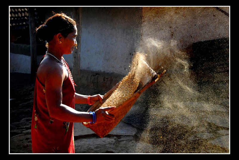 801 - rice processing - MUSINI Venkateswara rao - india.jpg